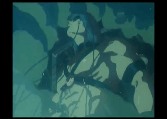 vlcsnap-2016-08-21-18h50m28s661